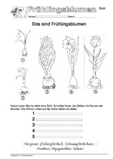 Arbeitsblatt VAS 1.pdf